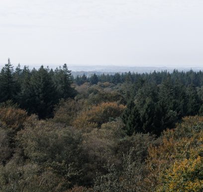 Portfolionatuur_LF_Weers