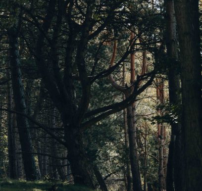 Portfolionatuur_LF_Weers-10