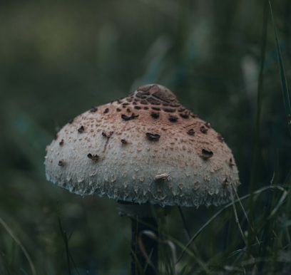 Portfolionatuur_LF_Weers-12