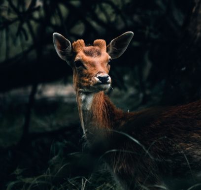 Portfolionatuur_LF_Weers-6